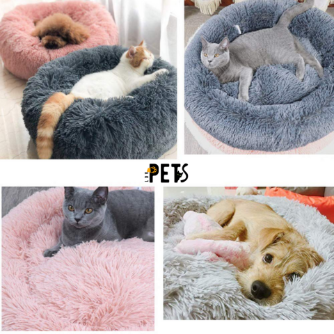 Cama Pet-pelúcia