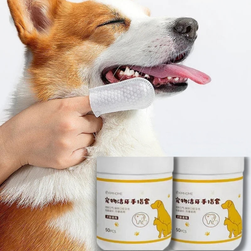 Lencinho DentalPet