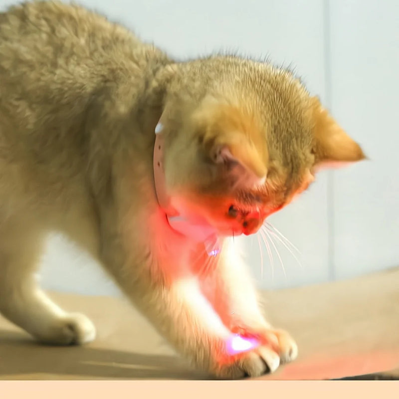 Coleira Divertida Laser - Anti estresse