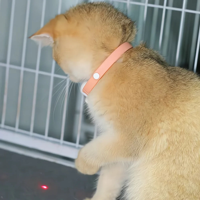 Coleira Divertida Laser - Anti estresse
