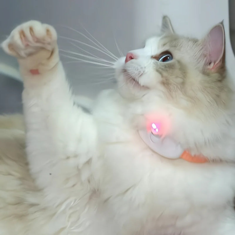 Coleira Divertida Laser - Anti estresse