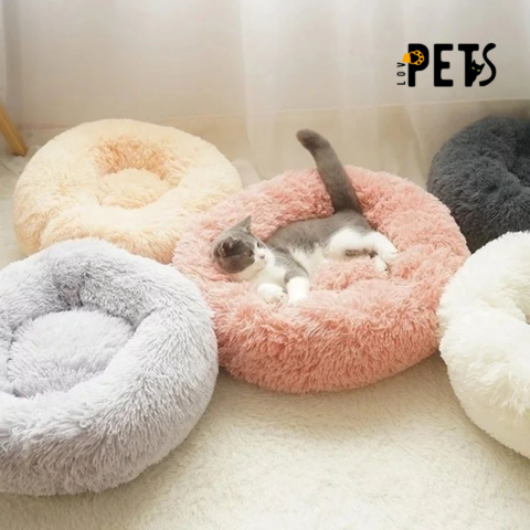 Cama Pet-pelúcia